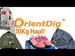 Is OrientDig Safe? Full Review