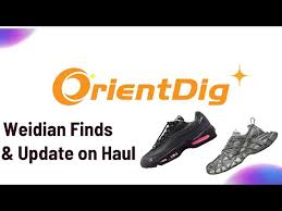 OrientDig Shipping Guide 2026